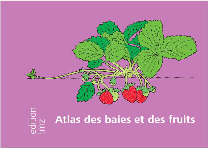 Atlas des baies et des fruits