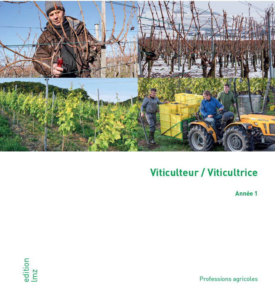 Viticultrice/Viticulteur CFC 1re année d'apprentissage