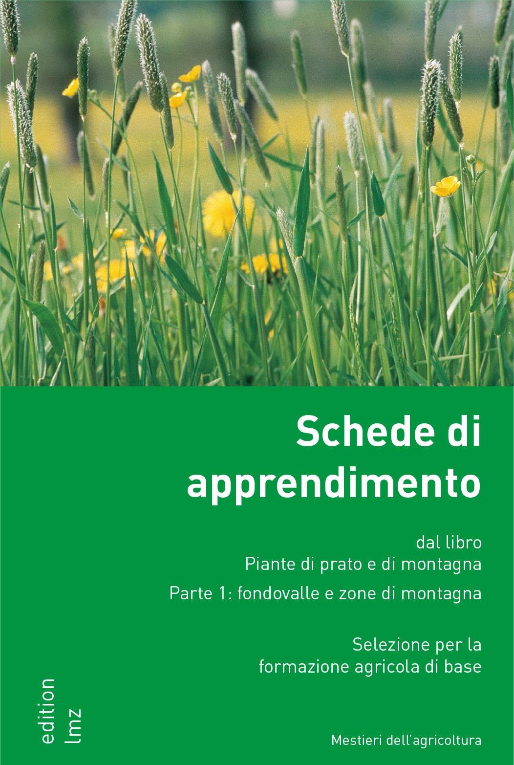 Schede di apprendimento / Piante di prato e di montagna