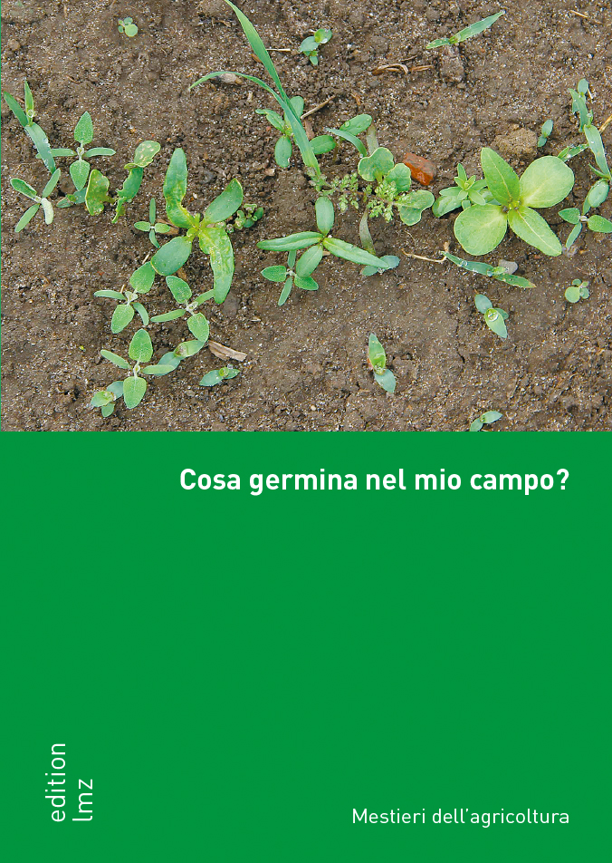 Cosa germina nel mio campo?