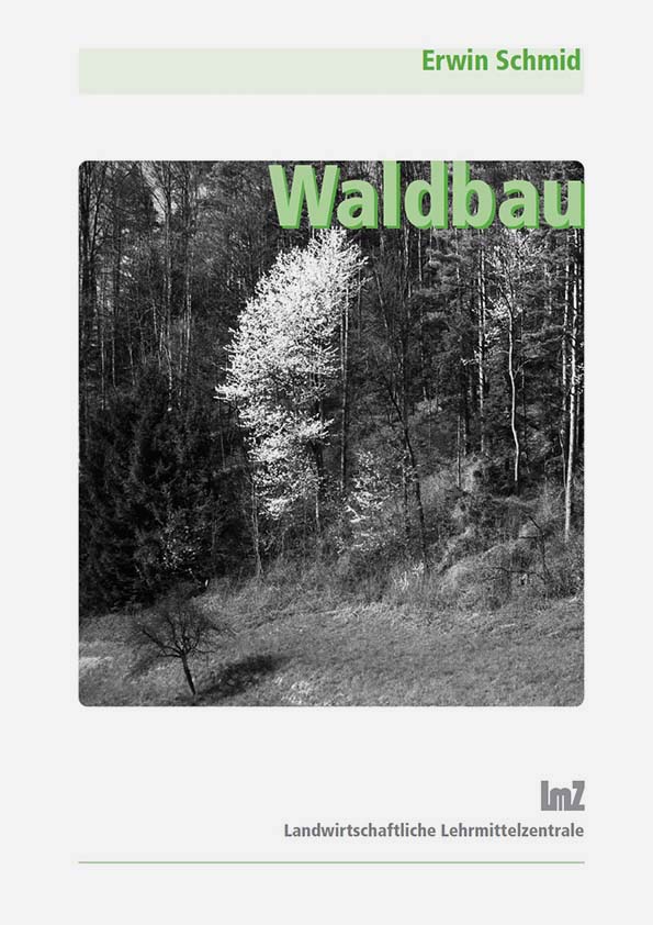 Waldbau / nur Text
