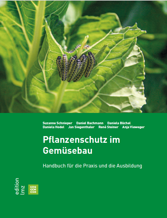 Pflanzenschutz im Gemüsebau