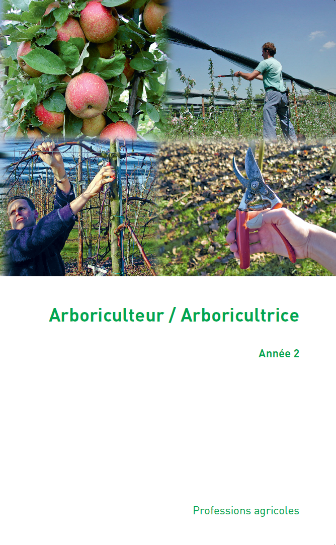 Arboricultrice / Arboriculteur CFC, 2ème année