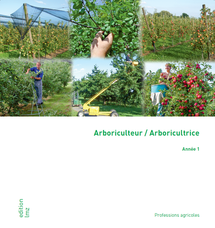 Arboricultrice/Arboriculteur CFC, 1re année d'apprentissage