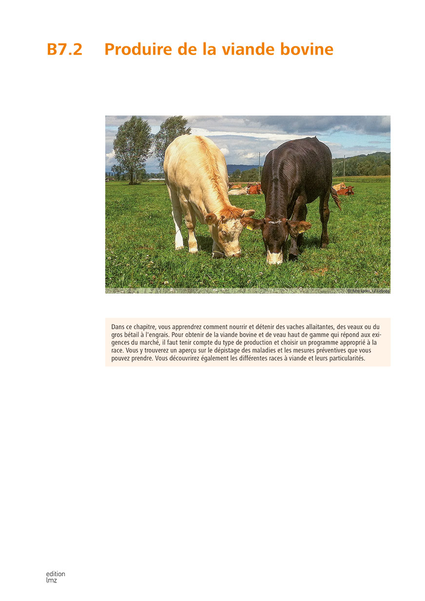 B7.2 Chapitre additionnel «Produire de la viande bovine»