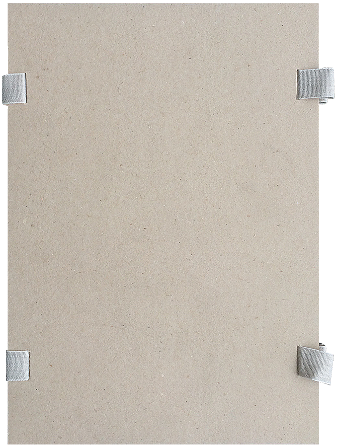 Herbar-Sammelmappe 25 Löschblätter