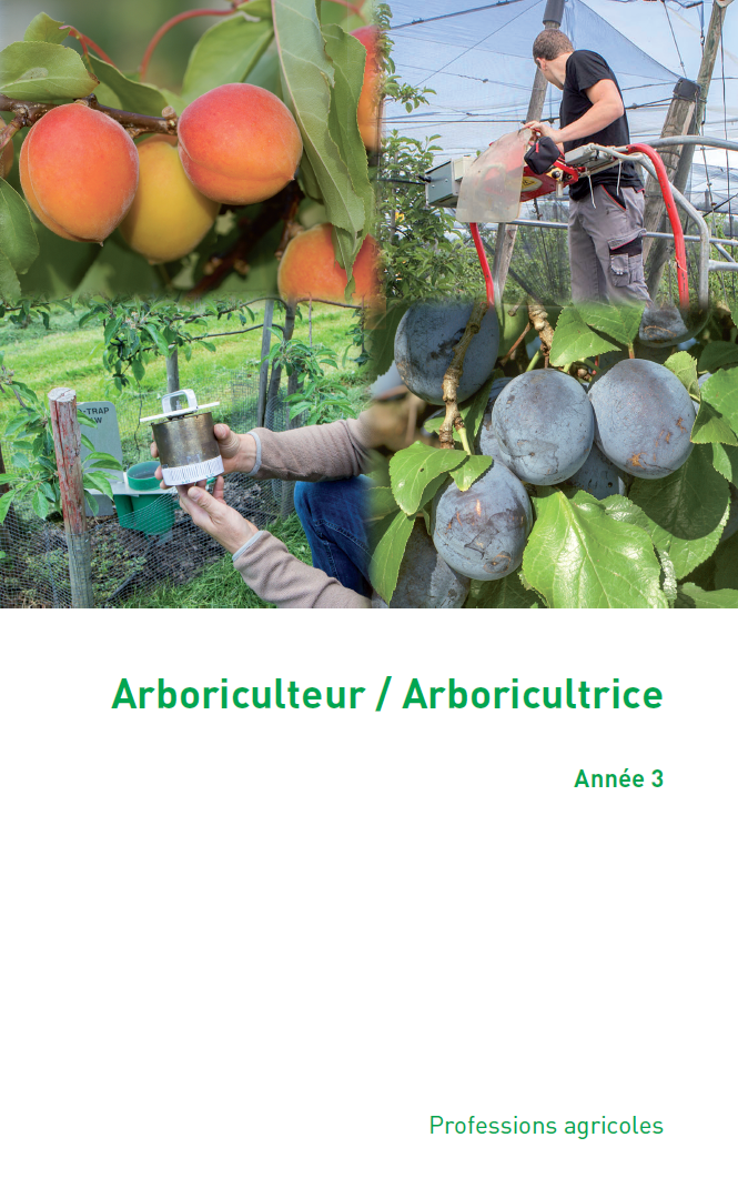 Arboricultrice / Arboriculteur CFC, 3ème année
